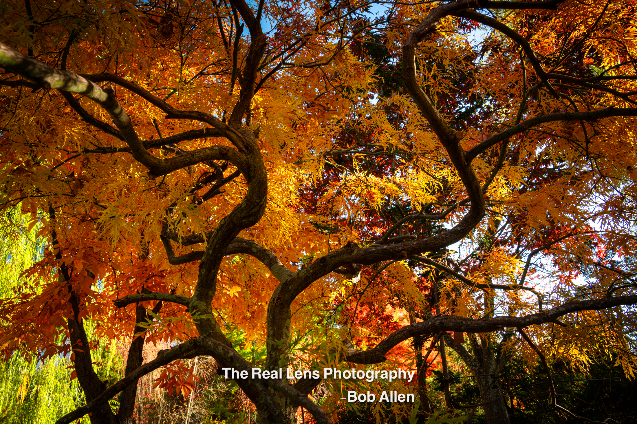 Shop Landscape Prints